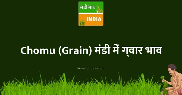 guar भाव